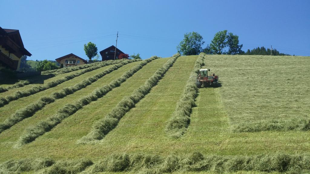 Haus Schoenleiten Wagrain Exteriör bild