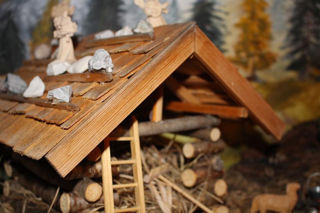 Haus Schoenleiten Wagrain Exteriör bild